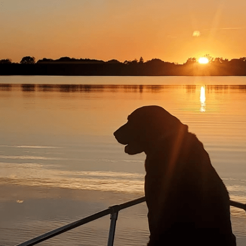 a person standing in front of a body of water