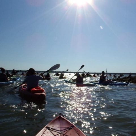 a group of people rowing a boat in the water
