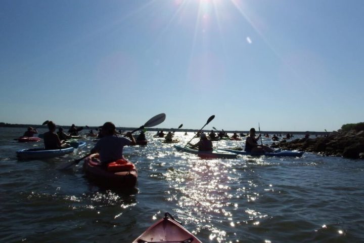 a group of people rowing a boat in the water