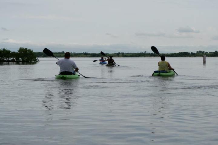 a group of people rowing a boat in a body of water